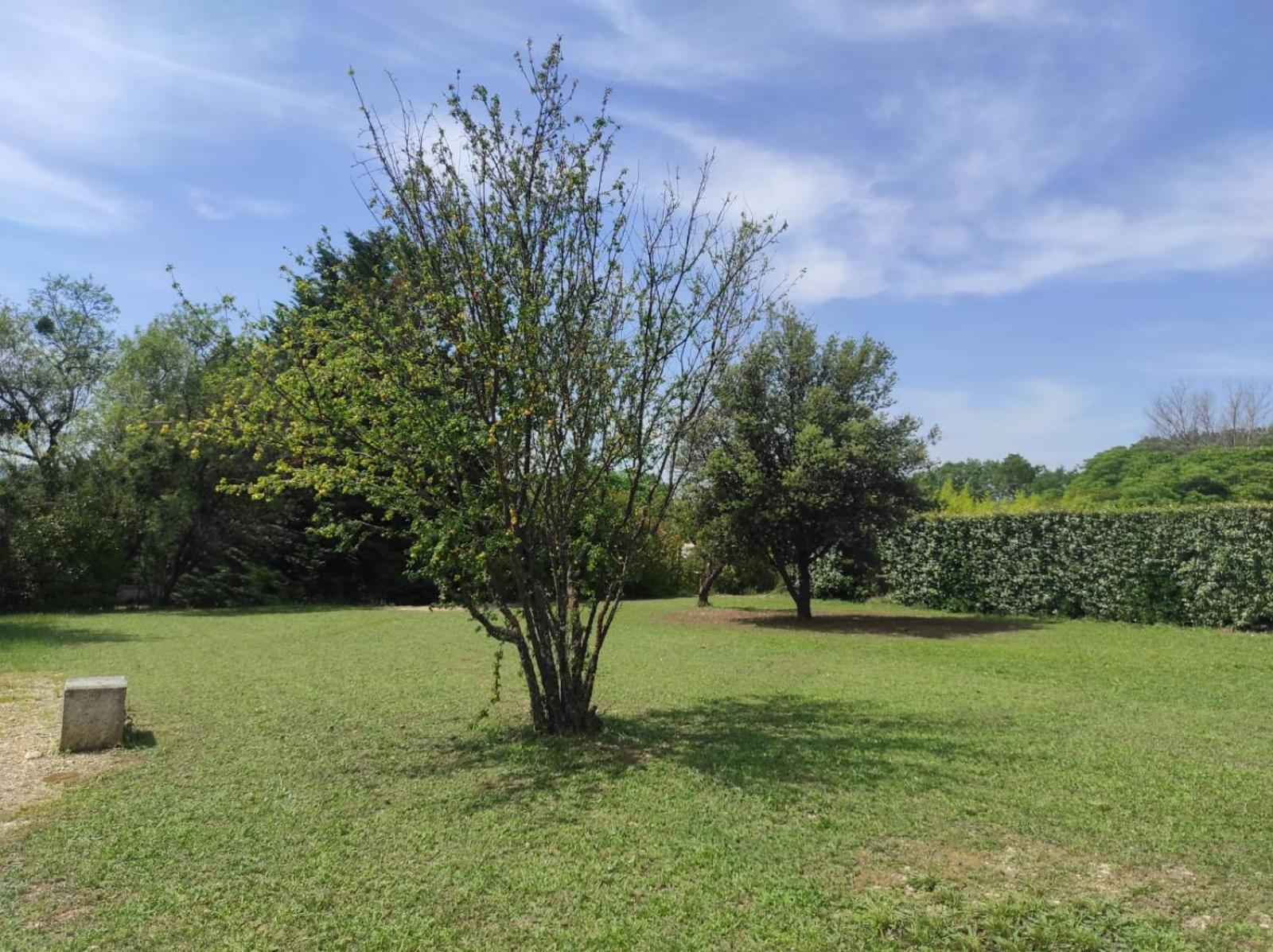 Villas De La Ferme Du Gros Noyer Malaucene Ngoại thất bức ảnh